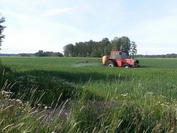 Farmer spraying a field with pesticides, BUT left 2 ha unsprayed around an ortolan nest. Thank you Arne Andersson, farmer at Söröslätten. Foto: Magnus Persson