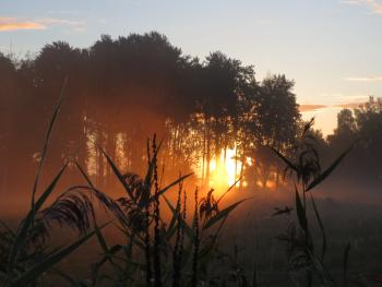 Sunrise. Photo by Annemarie