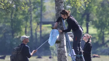 Three people studying a nest box.