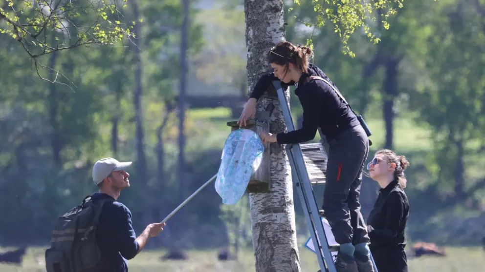 Three people studying a nest box.
